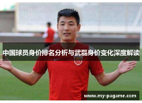中国球员身价排名分析与武磊身价变化深度解读
