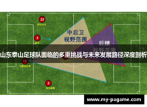 山东泰山足球队面临的多重挑战与未来发展路径深度剖析