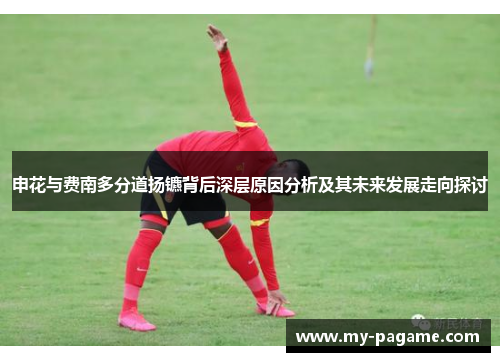 申花与费南多分道扬镳背后深层原因分析及其未来发展走向探讨