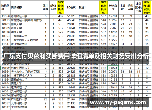 广东支付贝兹利买断费用详细清单及相关财务安排分析