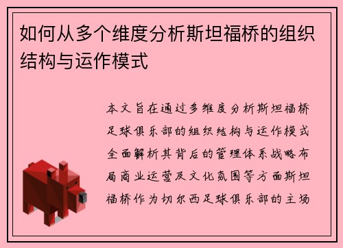 如何从多个维度分析斯坦福桥的组织结构与运作模式