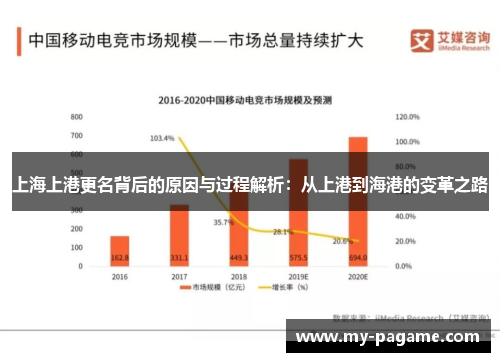 上海上港更名背后的原因与过程解析：从上港到海港的变革之路