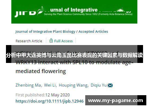 分析中甲大连英博与云南玉昆比赛表现的关键因素与数据解读