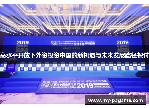 高水平开放下外资投资中国的新机遇与未来发展路径探讨