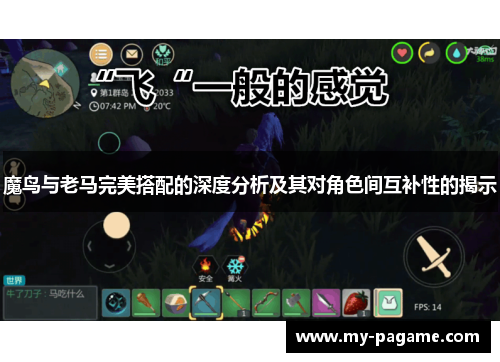 魔鸟与老马完美搭配的深度分析及其对角色间互补性的揭示