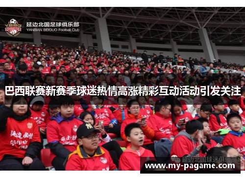巴西联赛新赛季球迷热情高涨精彩互动活动引发关注