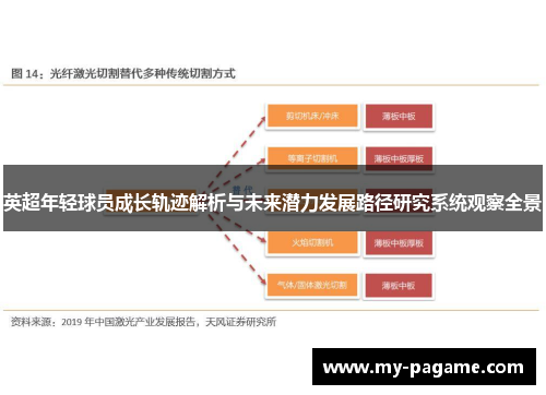 英超年轻球员成长轨迹解析与未来潜力发展路径研究系统观察全景