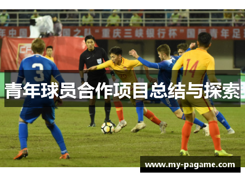 青年球员合作项目总结与探索