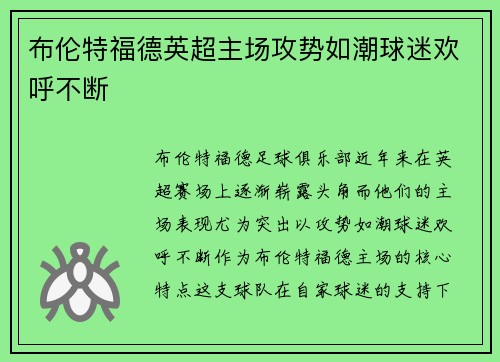 布伦特福德英超主场攻势如潮球迷欢呼不断 布伦特福德英超主场攻势如潮球迷欢呼不断